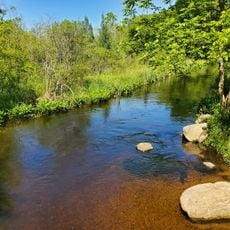 Newton Woods