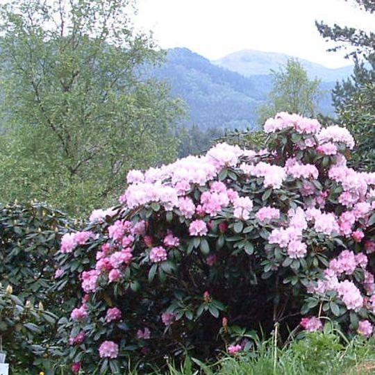 Arboreto de Rogaland