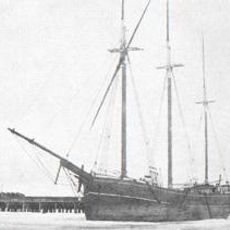 Fleetwing