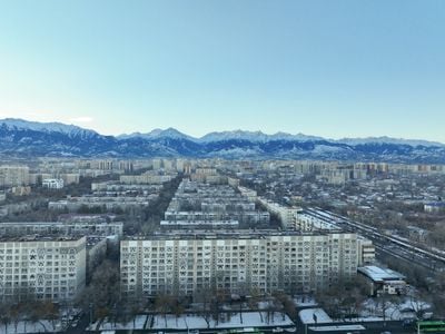 Winter 2