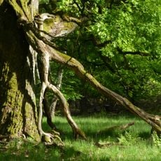 Viehweide auf Markung Michelbach