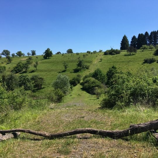 Weinberg bei Wetzlar