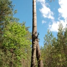 Brech Protected Area