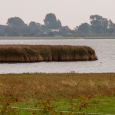 Fauler See - Rustwerder/Poel