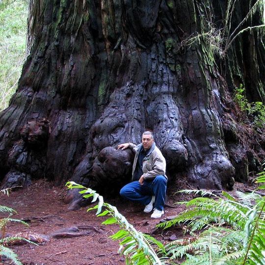 Jedediah Smith Redwoods State Park