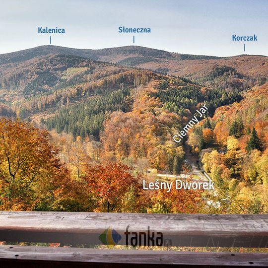 Platforma widokowa pod Kocim Grzbietem