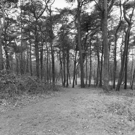 Nabij de Drieheuvelenweg gelegen voormalige galgenberg van de Hoge Heerlijkheid, het graafschap Bergh