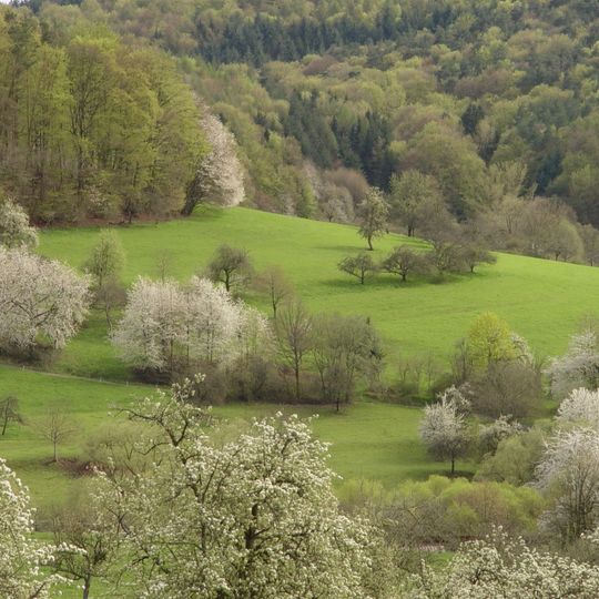 LSG innerhalb des Naturparks Spessart