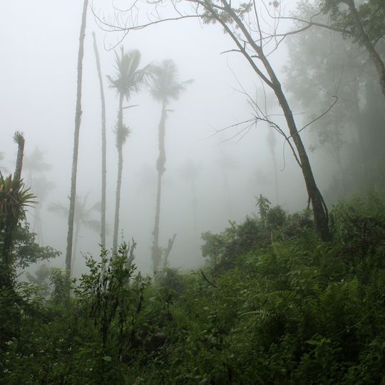 Nationalpark Deux Mamelles