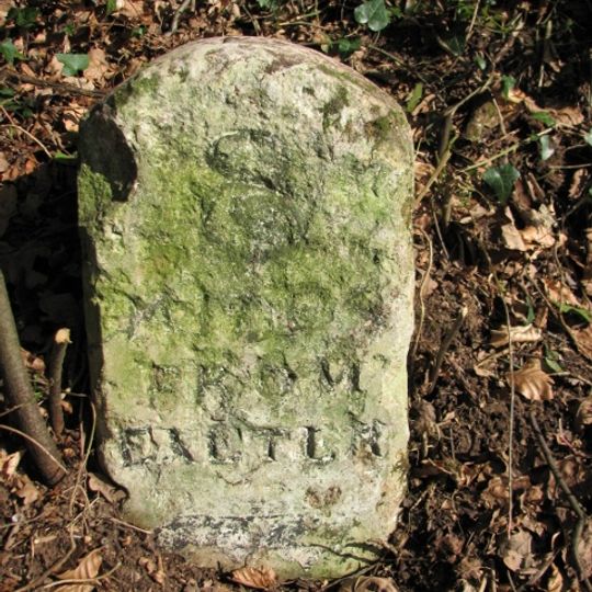 Milestone, SE corner of a wood, between Woodbury and cross roads on common