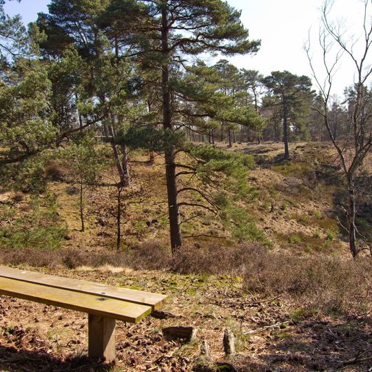 Borsteler Kuhlen und Brunautal