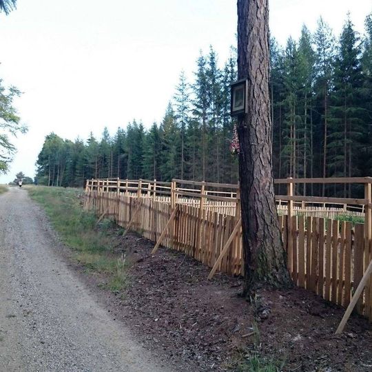 Obrázek severně od Bedřichovic