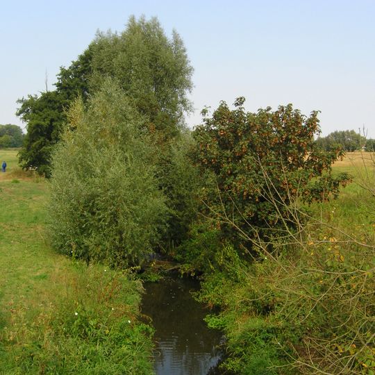 Barchovská plošina