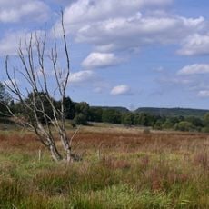 Osterbachtal bei Reinsfeld