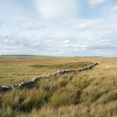 Hadrian's Wall and vallum between the field boundary at Brown Dikes and the field boundary east of turret 34a in wall miles 32,