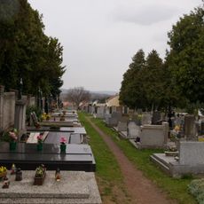 Cemetery in Praskolesy