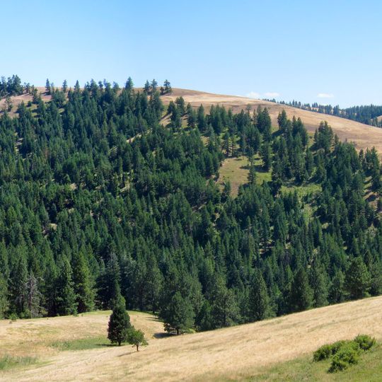Battle Mountain Forest State Scenic Corridor
