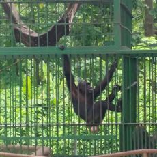 Kumasi Zoo
