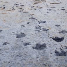 Dinosaur Ridge