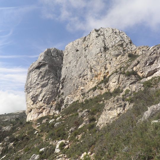 Cavall Bernat de Llabería