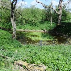 Mowsbury Hill: slight univallate hillfort and medieval moated site