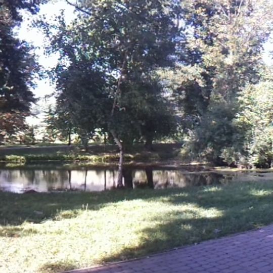 Park dworski, XVIII/XIX