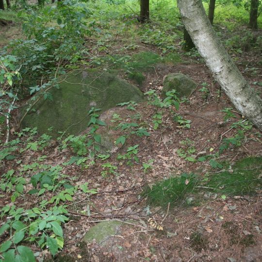 Großsteingrab Wachtum