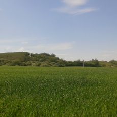 Naturschutzgebiet Kalkberge bei Großenlüder