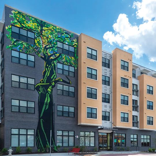 The Silver Creek Senior Living logo is a majestic tree that is reflective of the importance of maintaining the tree canopy in the Kensington Community and Rock Creek Regional Park.