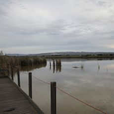 Stagno e ginepreto di Platamona