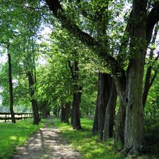 Manor Park in Chrcynno