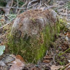 Grenzstein Untere Gemeinde in Fürth