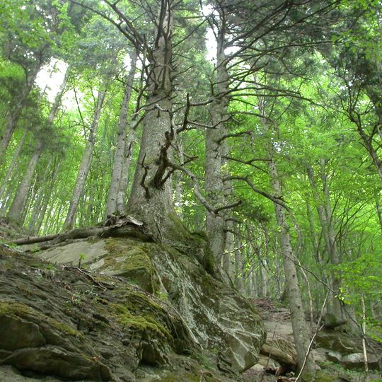 Naturschutzgebiet Campigna