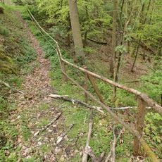 LSG innerhalb des Naturparks Bayerischer Odenwald