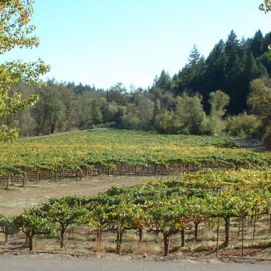 Russian River Valley AVA