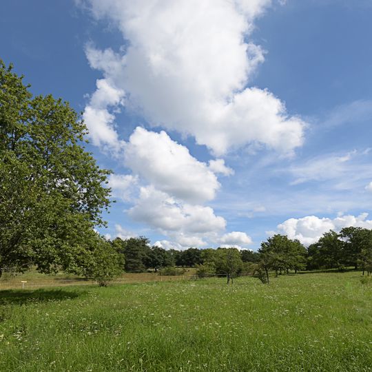 Lerchenberg und Kernesbellen von Darmstadt-Eberstadt