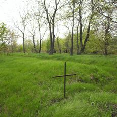 Cmentarz wojenny w Wiskitkach