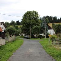 Javoří u Hartmanic