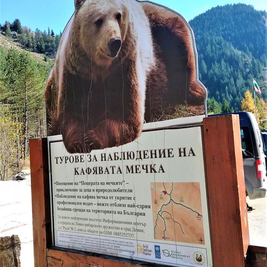 Музей на мечката