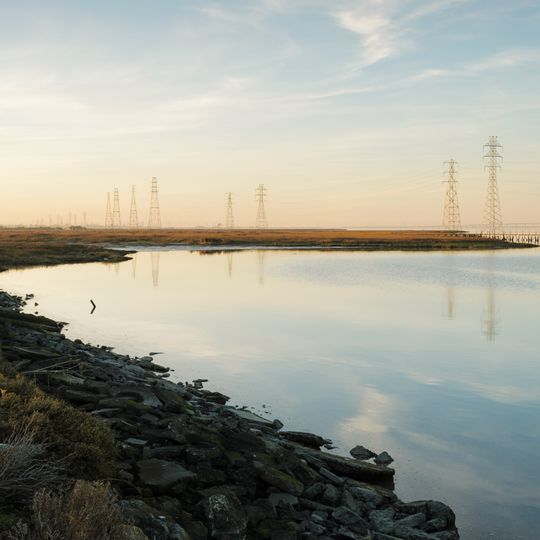 Reserva natural Palo Alto Baylands