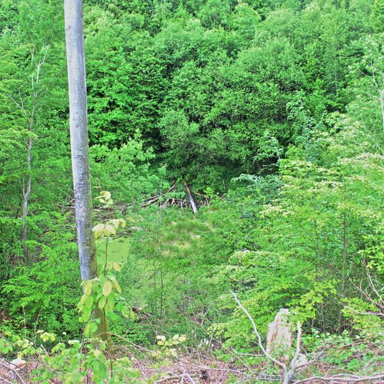 Finnenbruch, Großes Butterloch und Schwimmende Insel