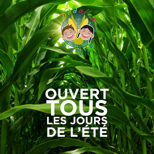 Dédales d'Opale