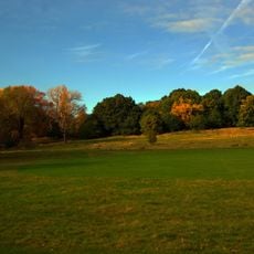 Hampstead Heath