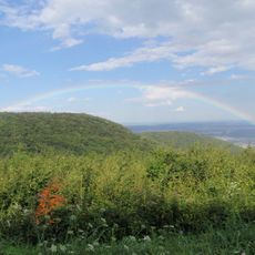 Erdők a Kőszegi-hegységben