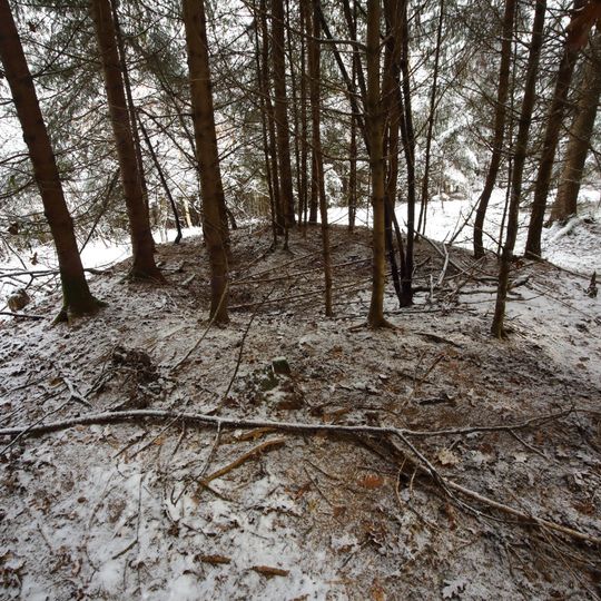 Barrow cemetery Kaiserwald