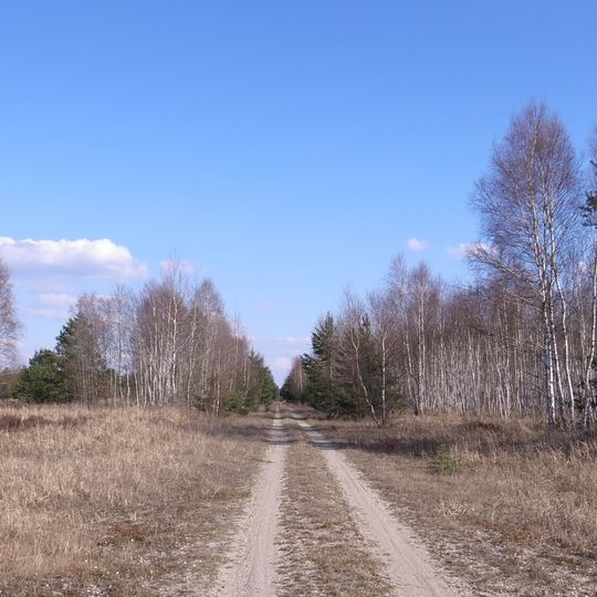Mittlere Oranienbaumer Heide