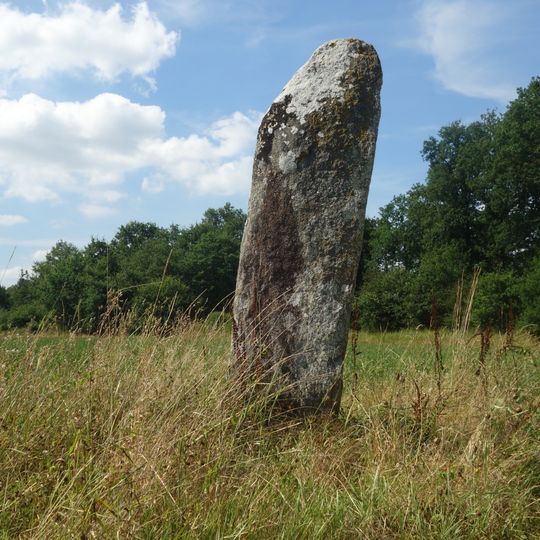 Menhir des Hautes Landes