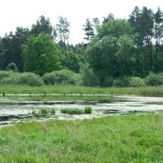 Jezioro Kościńskie