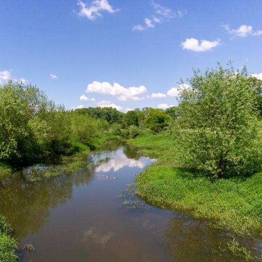 NSG Emsaue bei Telgte