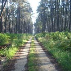Landes de Gascogne Regional Natural Park